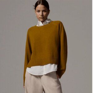 Everlane Boxy Cashmere Crew sweater in Tapenade XXS